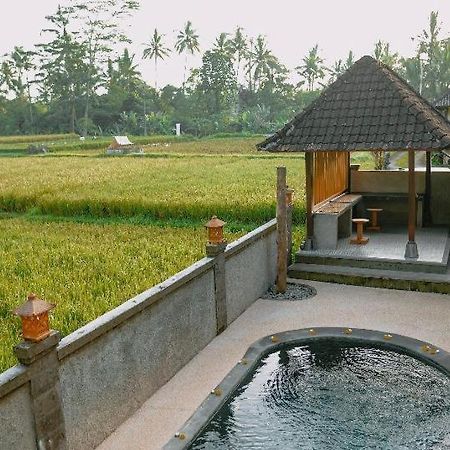 Santosha Villas & Spa Ubud Exteriér fotografie