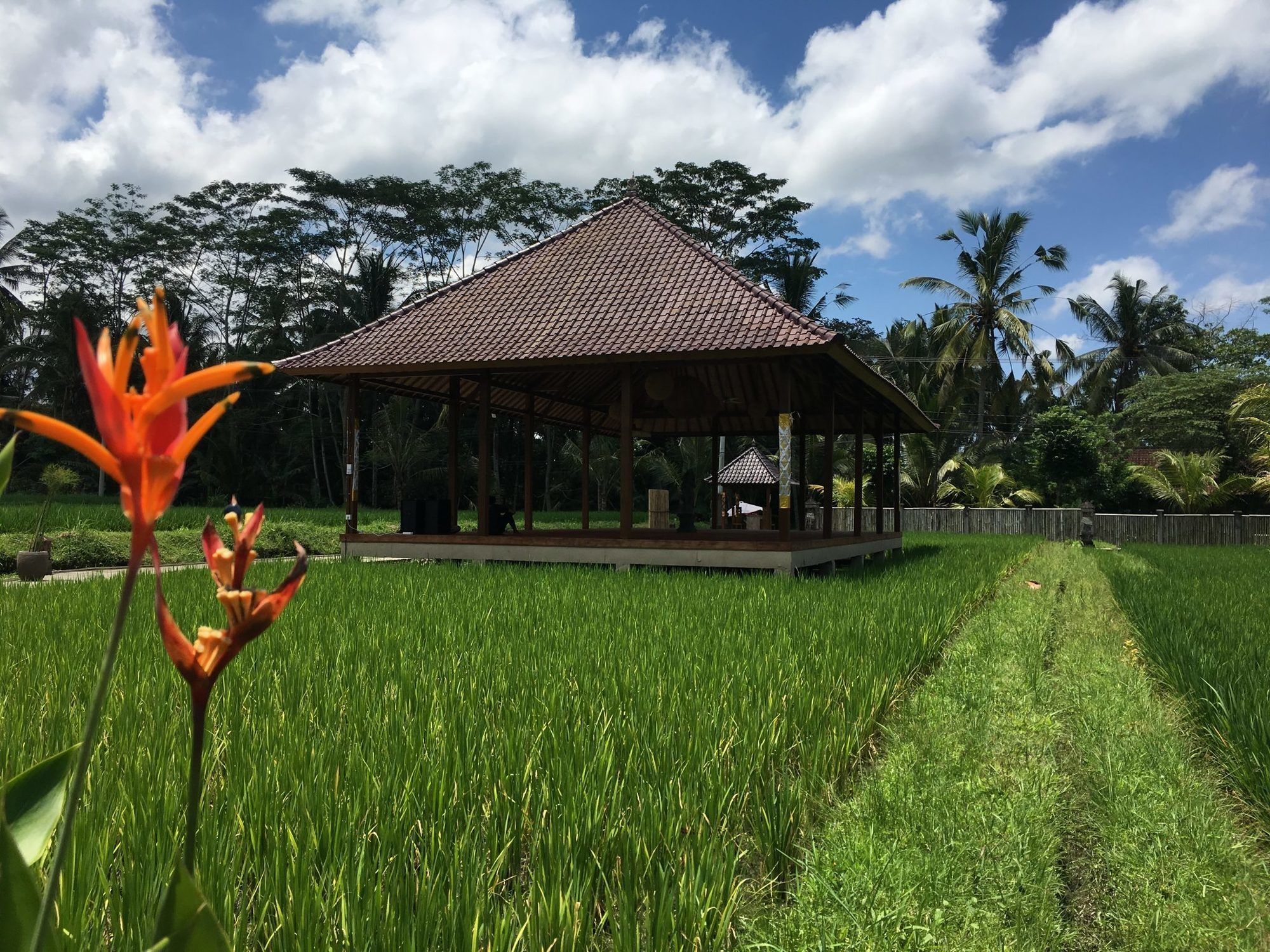 Santosha Villas & Spa Ubud Exteriér fotografie