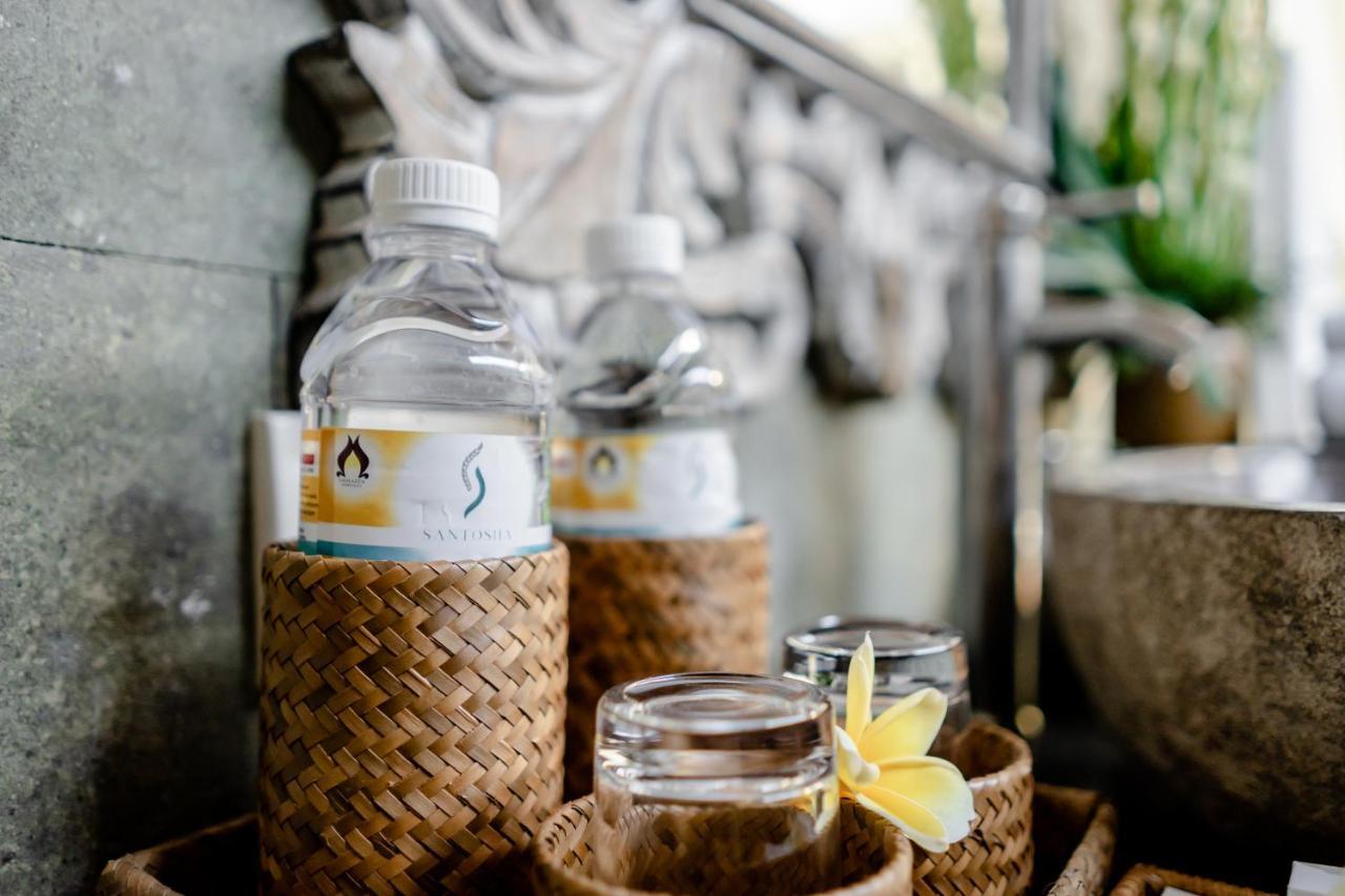 Santosha Villas & Spa Ubud Exteriér fotografie